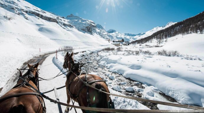 Horse-drawn carriage ride to the Fex Valley