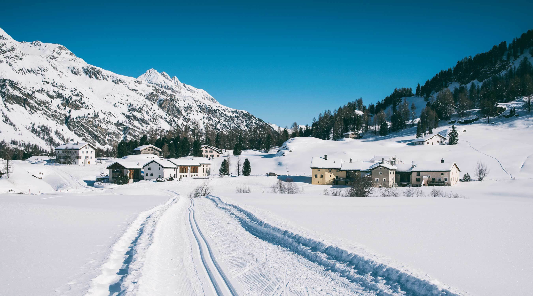 Winter kutsche fex parkhotel margna sils 01